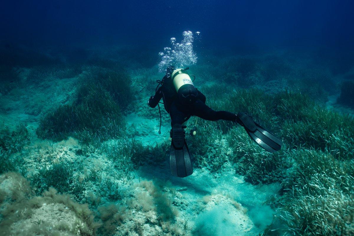 Mediterraneo — shot 23