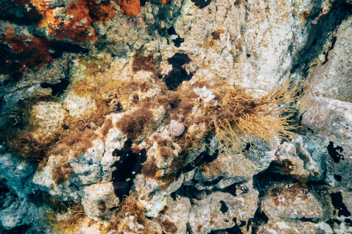Mediterraneo — shot 37