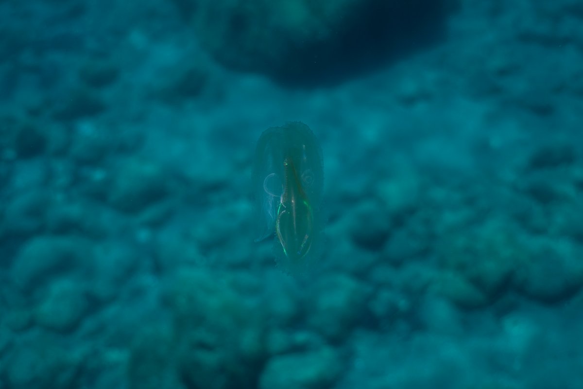 Mediterraneo — shot 64